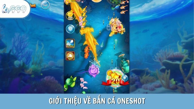 Giới thiệu về Bắn cá Oneshot