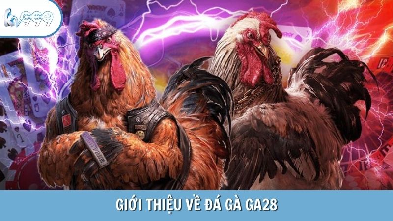 Giới thiệu về đá gà GA28